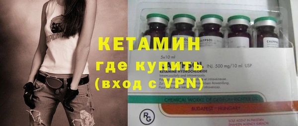 индика Пестово
