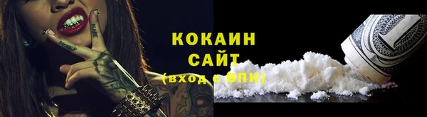 индика Пестово