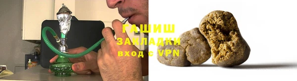 индика Пестово