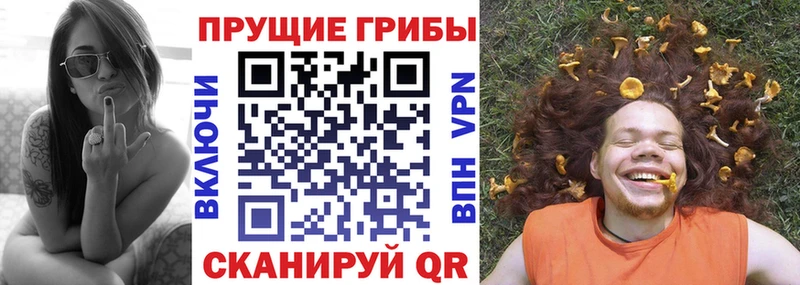 Псилоцибиновые грибы Magic Shrooms  где найти   Судогда 